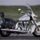 Indian_chief_6_206509_93503_t