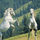 Lipizzaner_26935_629985_t