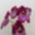Miltonia_orhidea_206817_36559_t