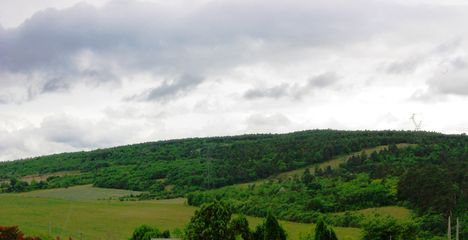 Mogyorós-hegy déli oldala