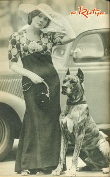 Ruttkai Éva a kutyával együtt szerepelt az Egy filozopter szerelmei c filmben 1973
