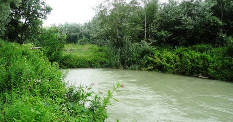 Szilfási csatorna a Szigetközi hullámtéri vízpótlórendszerben, Ásványráró 2016. július 15.-én 2