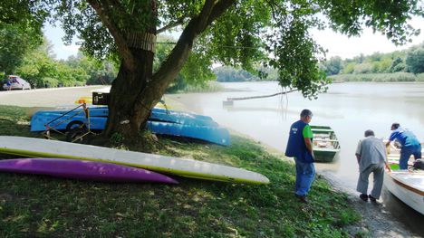 Vízpart Camping a Görgetegi Duna-ág mellett, Dunakiliti 2016. július 13.-án 5