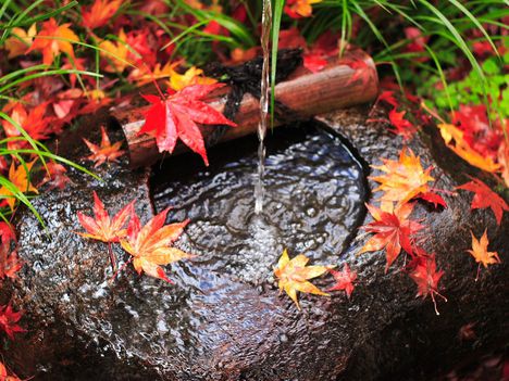 water-stream-leaves-autumn-stone