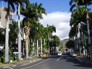 Mauritius 29