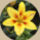 A_termeszet_az_maga_az_elet_272683_74256_t