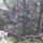 Erdo2_272484_99494_t