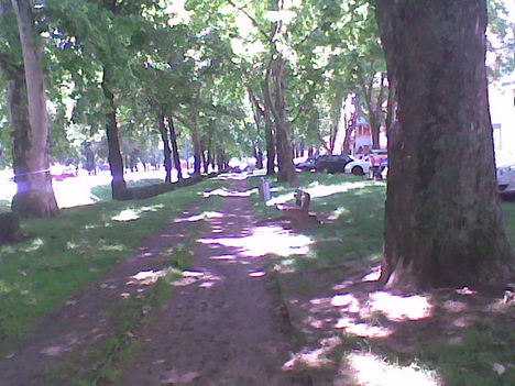 Kép0606