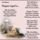 Megtart_teged_is_2072293_9972_t