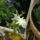 Viragok_020_272927_94916_t
