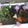 Viragok_021_272930_60649_t