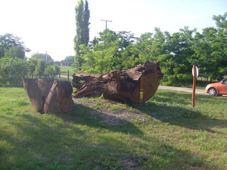 Mikor Móricz megvette a területet 1939-ben,több fa is állt itt.