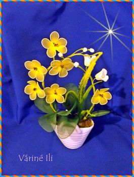 sárga orchidea