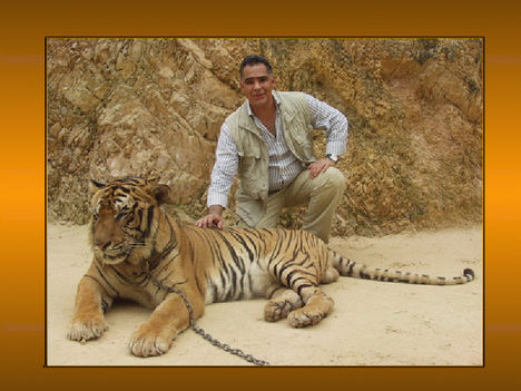 Tigrisek és emberek 10