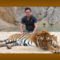 Tigrisek és emberek 11