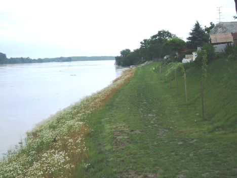 A Duna Gönyűnél 2009. 06. 27. 19