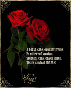 A rózsa csak egyszer nyílik...