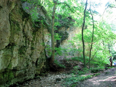 Ördög-árok, Északi-Bakony