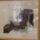 Cimg3468_277361_41312_t