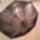 Cimg3491_277396_39633_t