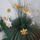 Cimg3503_277446_10741_t