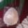 Cimg3504_277447_52538_t