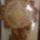 Cimg3513_277457_99500_t