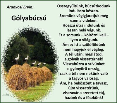 Gólyabúcsú