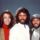 The Bee Gees