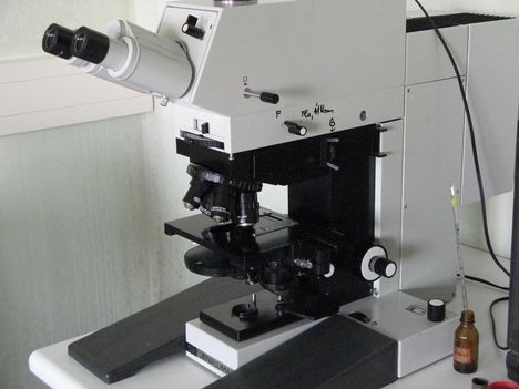 fáziskontraszt mikroszkóp