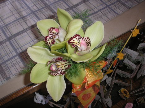 orchideák sisal tölcsérben (saját muka)