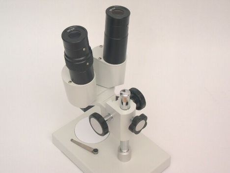 sztereomikroszkóp