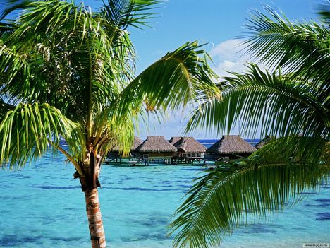 Moorea-sziget-Francia_Polinézia