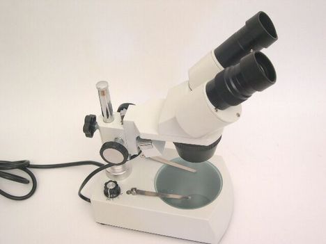 STM-3C sztereo mikroszkóp 2