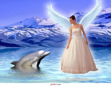 angyal és delfin 