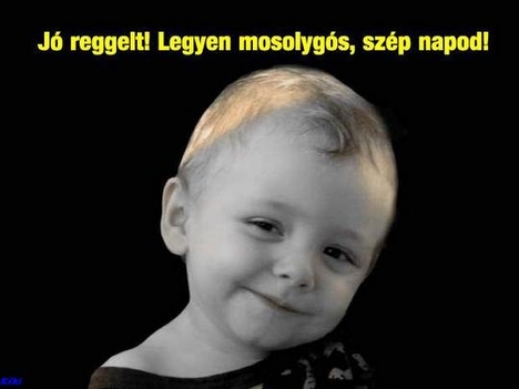 jó reggelt