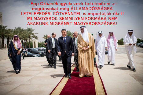 Orbán és az arabok