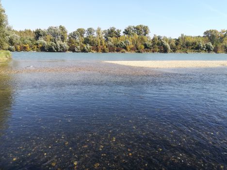 Duna folyam 1827,7 fkm-ében a főmeder jobb partján, Kisbodak 2018. október 06.-án 2