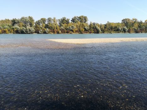 Duna folyam 1827,7 fkm-ében a főmeder jobb partján, Kisbodak 2018. október 06.-án 3