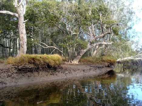 Jervis bay 31