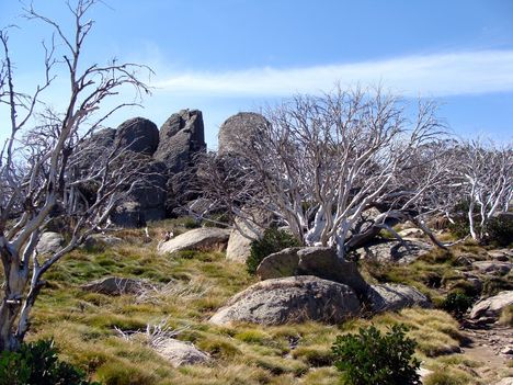 Kosciuszko National Park 23