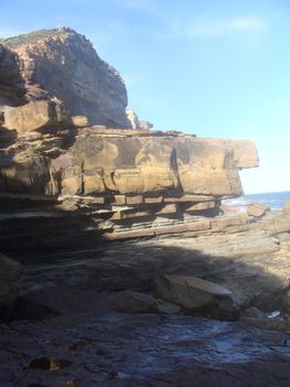 Royal National Park 19