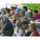 Barbacsi_falunapi_kepriport053_282187_30972_t