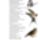 Bekes_szep_napot-124_2082140_1224_t