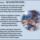 He_elveszted_hited_2082136_7499_t