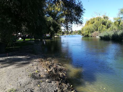 Mosoni-Duna folyó, Mosonban a Rév utca Csikusz melletti részén, Mosonmagyaróvár 2018. szeptember 29.-én 1
