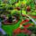 Gardens_2083115_8300_t