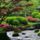 Japanese_garden_2083118_5385_t