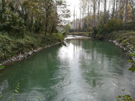 Szilfási csatorna a Szilfási csőáteresz alvízi oldalán, Ásványráró 2018. október 16.-án 2