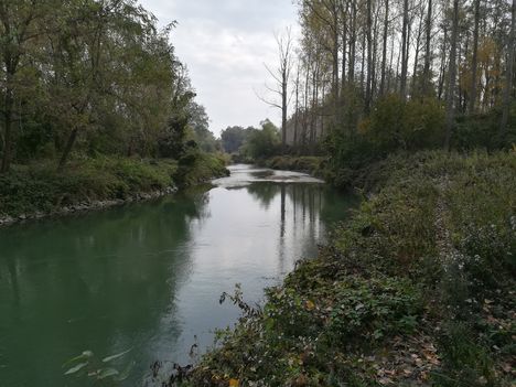 Szilfási csatorna a Szilfási csőáteresz alvízi oldalán, Ásványráró 2018. október 16.-án 3